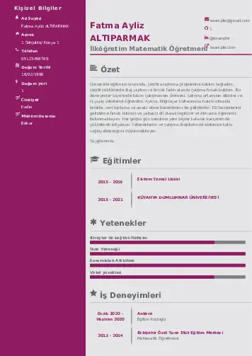 Matematik Öğretmeni Cv Örnekleri cv indir